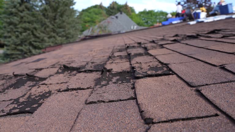 Best Metal Roofing Installation  in Hickory Creek, TX